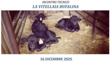 LA VITELLAIA BUFALINA